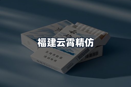 福建云霄精仿